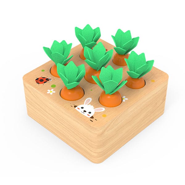 4 in 1 Montessori Wooden Toys